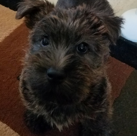 Lots of cute stuff!!😊😊 - Picture 5 of 12